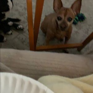 Meet your Posher, Raquel